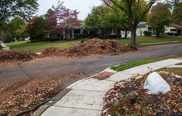 fall season leaf removal collinsville illinois