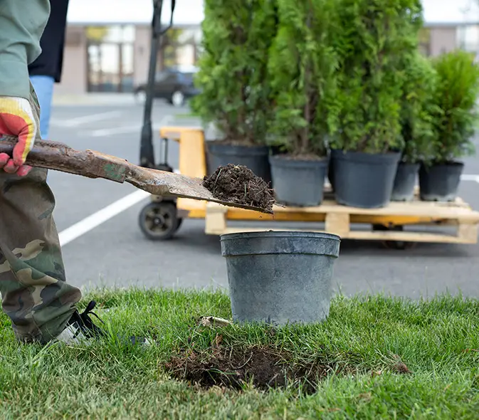 Landscape Gardening & Yard Clean Up Collinsville IL